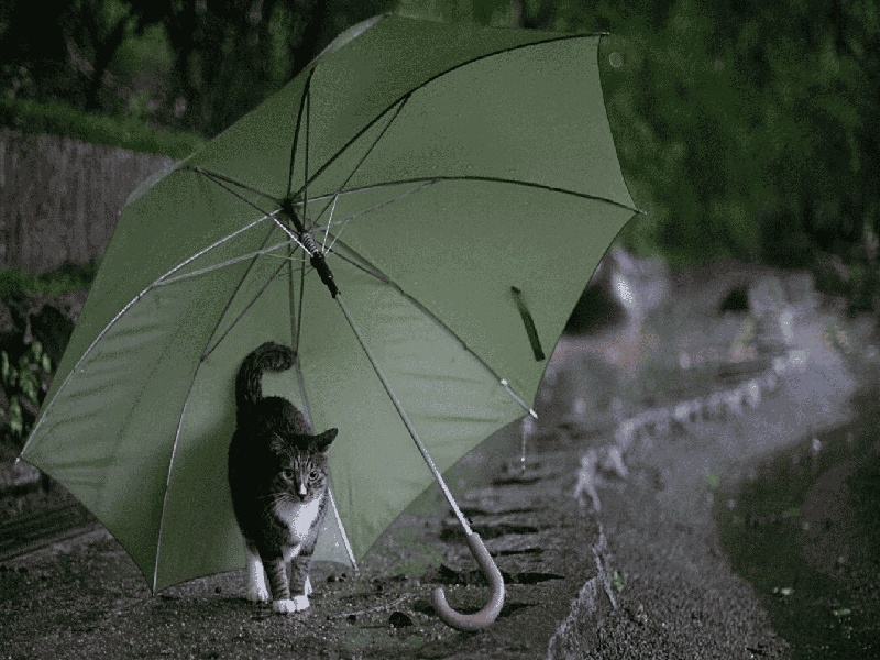 泰国试管新规定(试管缠绕薄膜图片)